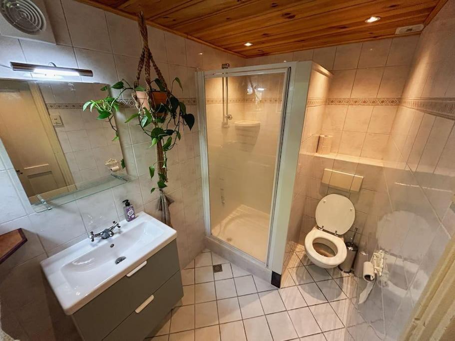 Onder De Kastanje! Villa Koedijk Buitenkant foto