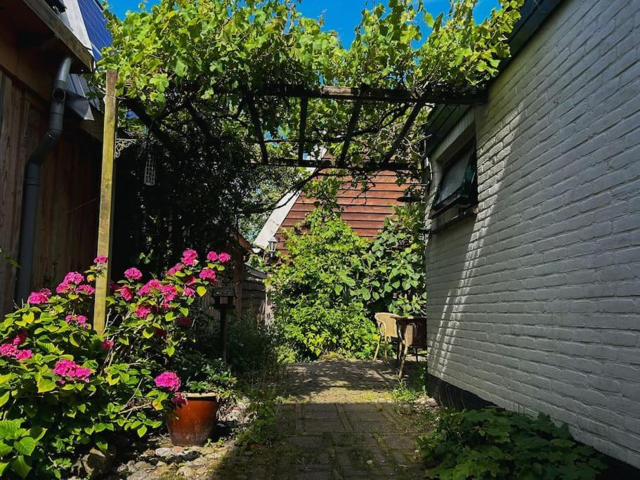 Onder De Kastanje! Villa Koedijk Buitenkant foto